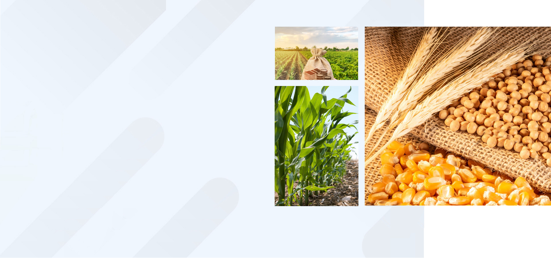 From Farms and Labs to the World – Trusted Global Trade Solutions